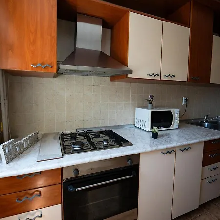 Homestay Aurel Vlaicu Apartment- Gara *